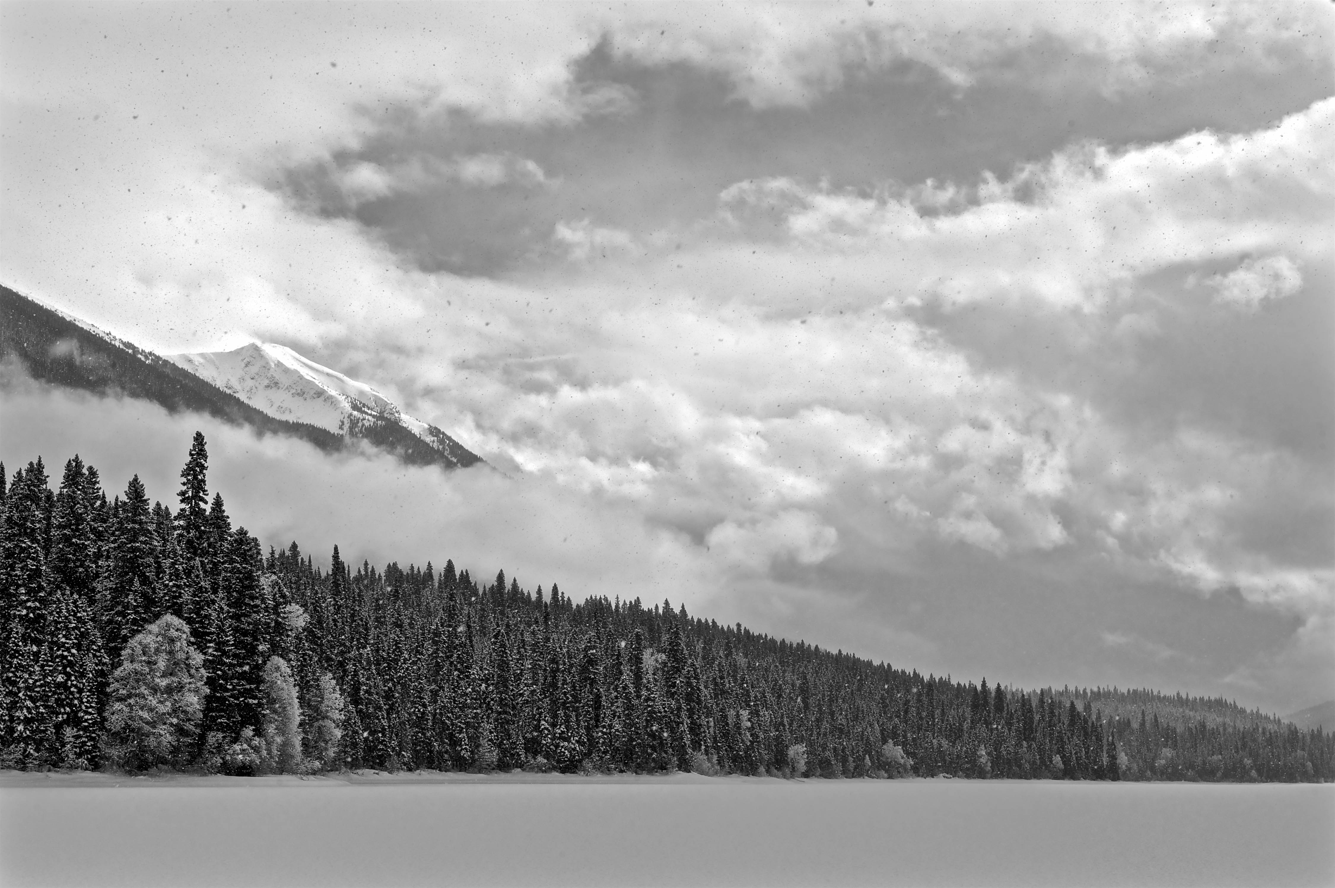 _DSC4197