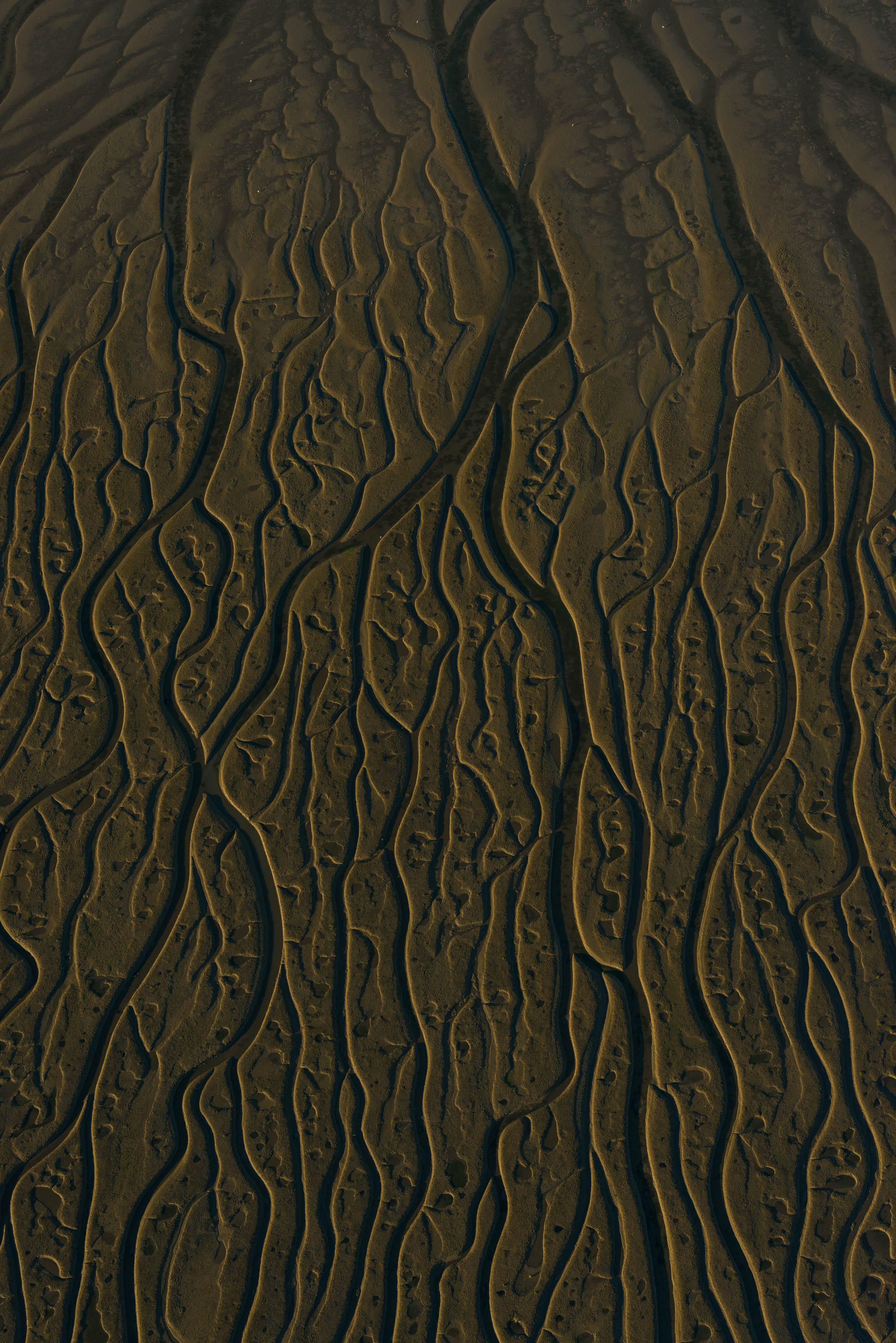 _TGP7849